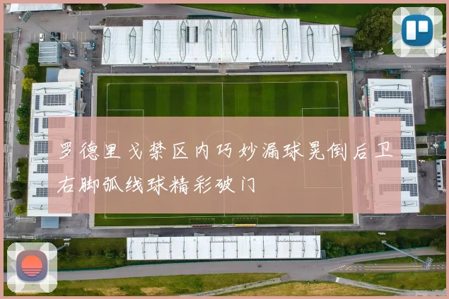 罗德里戈禁区内巧妙漏球晃倒后卫右脚弧线球精彩破门