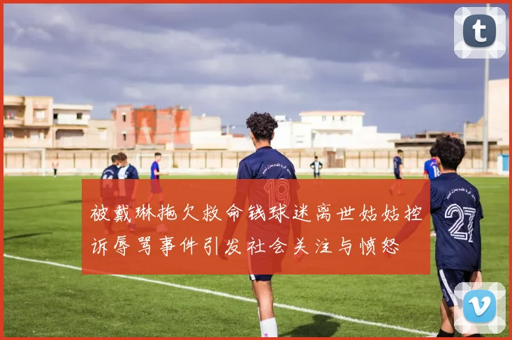 被戴琳拖欠救命钱球迷离世姑姑控诉辱骂事件引发社会关注与愤怒