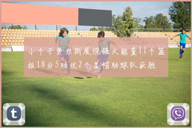 小个子费尔斯展现强大能量11个篮板18分5助攻2个盖帽助球队获胜