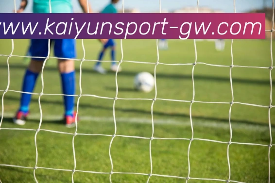 开云体育平台生态图